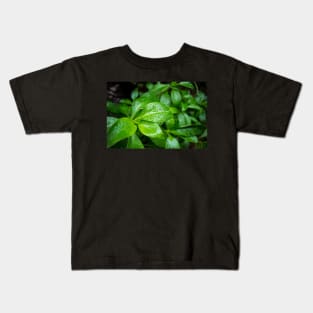 Green Leaves Droplet Photo Kids T-Shirt